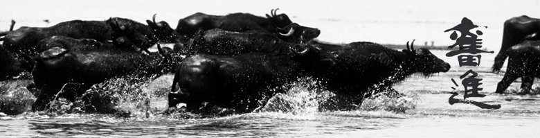 1595778378179916.jpg 20141217155525_53641.jpg