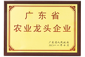 1604322451128394.jpg 未标题-1.jpg